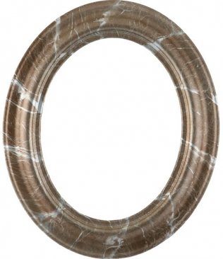 Naomi Champagne Silver Oval Picture Frame