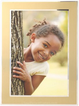 Metro Gold Picture Frame