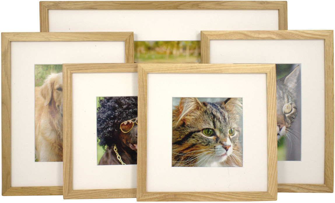 Set of 5 Natural Matted Gallery Picture Frames
