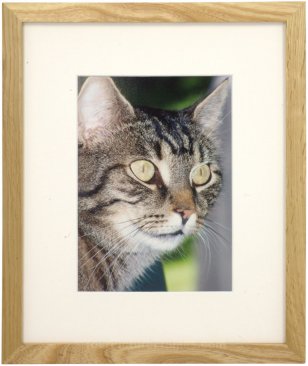 Set of 5 Natural Matted Gallery Picture Frames