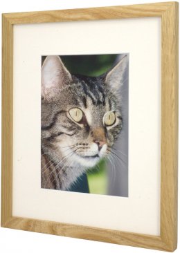 Set of 5 Natural Matted Gallery Picture Frames