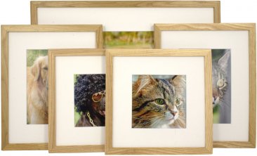 Set of 5 Natural Matted Gallery Picture Frames