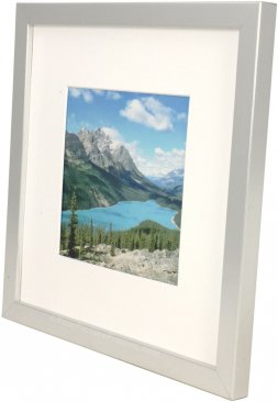 Set of 5 Silver Matted Gallery Picture Frames