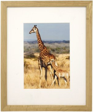 Set of 7 Natural Matted Gallery Picture Frames