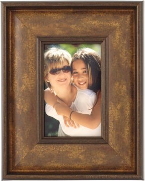 Dania Bronze Wood Picture Frame