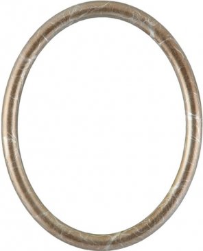 Gilda Champagne Silver Oval Picture Frame