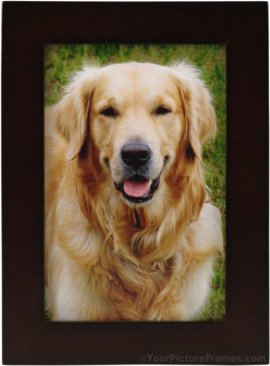 Basic Wood Brown Picture Frame