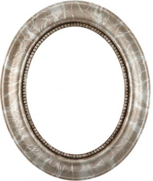 Laurel Champagne Silver Oval Picture Frame