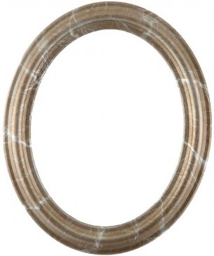 Rissa Champagne Silver Oval Picture Frame