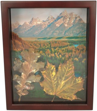 1 3/4 Deep Espresso Shadow Box Picture Frame