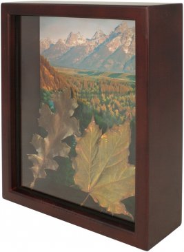 1 3/4 Deep Espresso Shadow Box Picture Frame