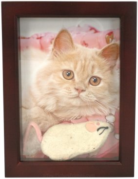 3/4 Deep Brown Shadow Box Picture Frame