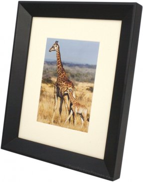 Monarch Archival Black Picture Frame