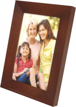 Dark Brown Frame with Angled Molding