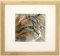 Set of 5 Natural Matted Gallery Picture Frames