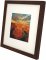 Set of 5 Walnut Matted Gallery Picture Frames