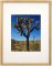 Set of 7 Natural Matted Gallery Picture Frames