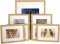 Set of 7 Natural Matted Gallery Picture Frames