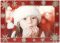 Red Holiday Snow Picture Frame